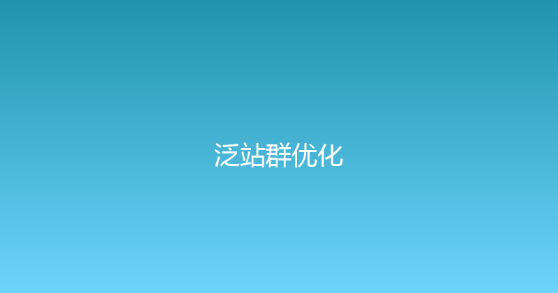 泛站群优化 封面图