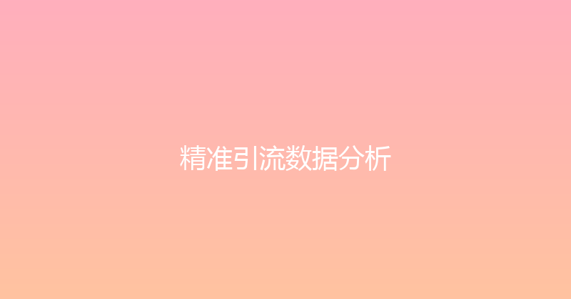 精准引流数据分析 封面图