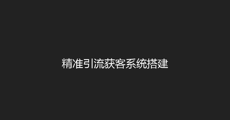 精准引流获客系统搭建 封面图