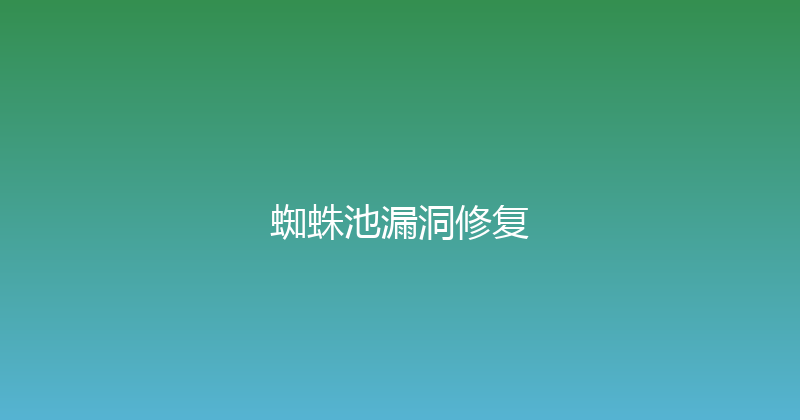 蜘蛛池漏洞修复 封面图